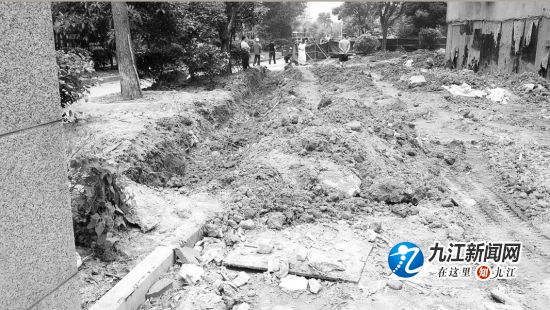 涓氫富璐ㄧ枒鍏叡鐢ㄥ湴琚崰,涓氫富璐ㄧ枒宸ョ▼璐ㄩ噺搴旇鎵捐皝