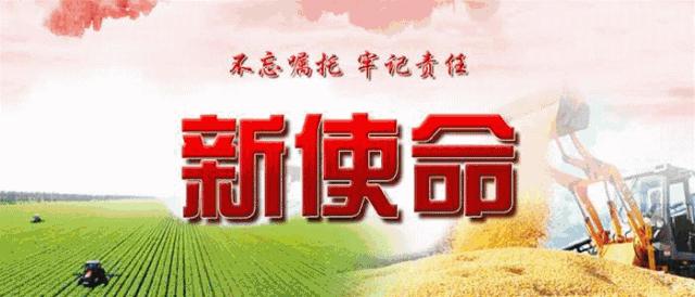 百姓舌尖上的安全,北大荒人用实际行动守护!