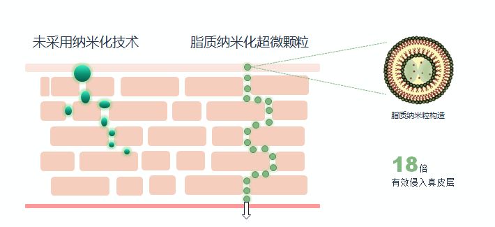 有必要用哪一款水乳,一辈子就能用一套水乳