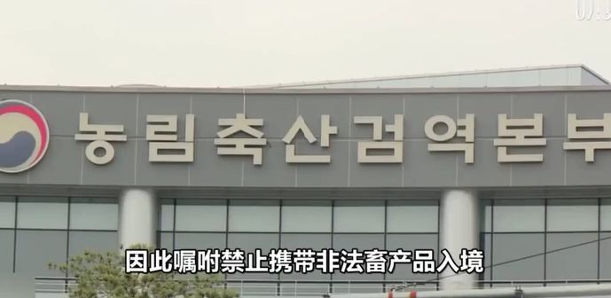 出境游必带物品清单,出国旅游必须知道的15个常识