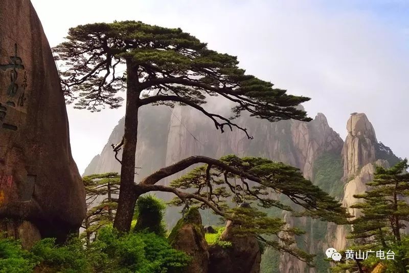 黄山自然山水风光美图,黄山美图高清图片大全