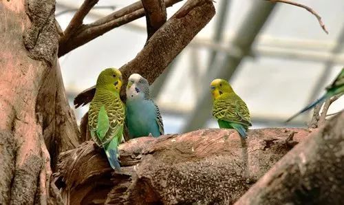 厦门适合带孩子去玩的地方推荐,厦门6月份哪里好玩