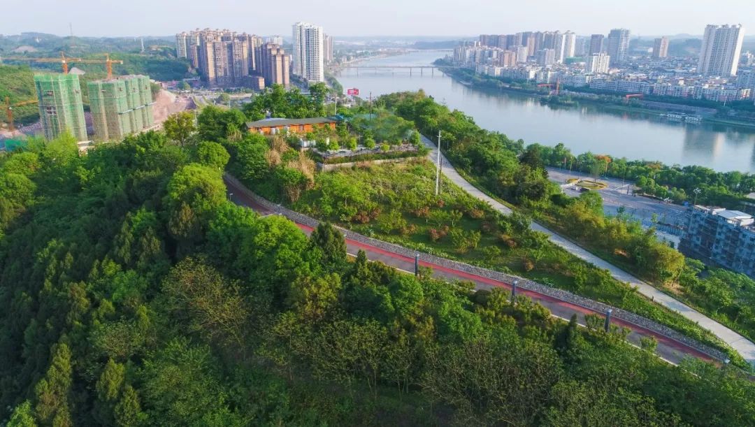 简阳电视台现场直播中华龙舟赛,中华龙舟大赛成都简阳站