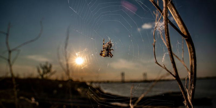 毕业季警惕8大陷阱,毕业季十大避坑指南