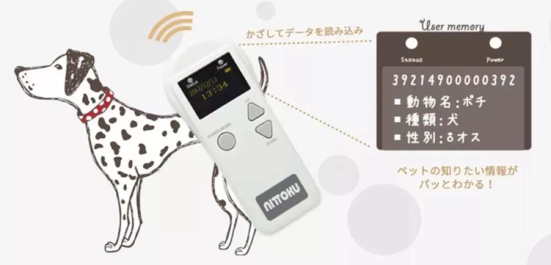 “戳爷”号召庆祝“同志骄傲月”；宠物需植入芯片写入日本法规；提供高视野的“潜望镜”眼镜…「设计烩报135期」