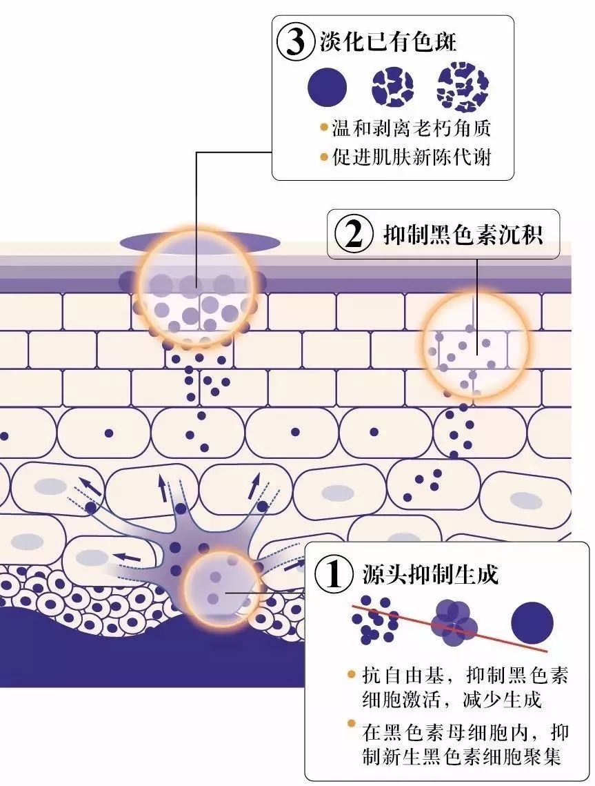 今年京东618大促开始了吗,京东618大促活动中哪些商品有折扣