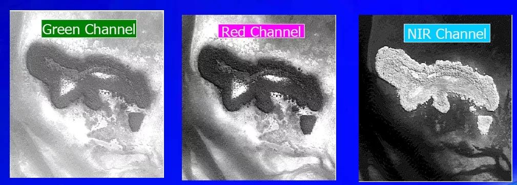 2019年高考地理全国卷选择题,地理浙江高考必背知识点2022