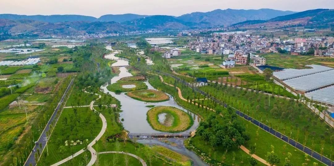 弥勒美食必吃推荐,云南弥勒美食野生菌