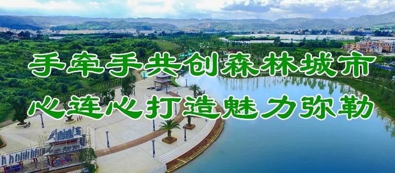 弥勒美食必吃推荐,云南弥勒美食野生菌