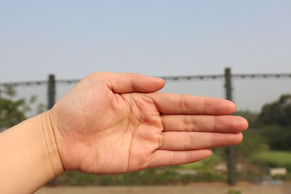 男士手相掌纹算命大全图,男士手相看哪只手掌纹算命大全