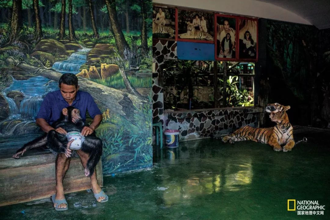 “谢谢你们,我们终于快死光了”