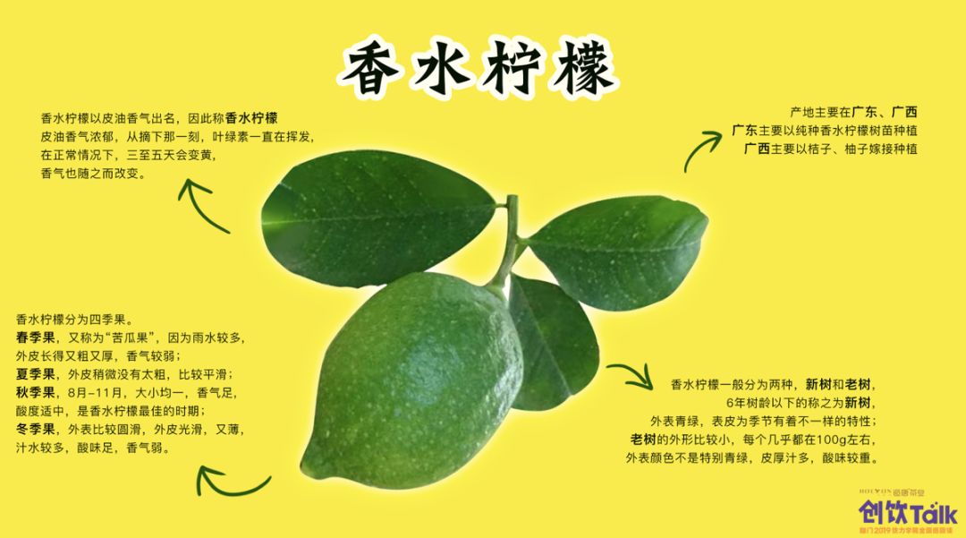 近期火爆饮品柠檬茶,疯狂的柠檬果汁