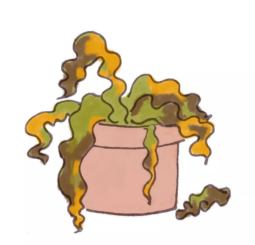 垃圾分类手册的教程,垃圾分类讲解的提纲