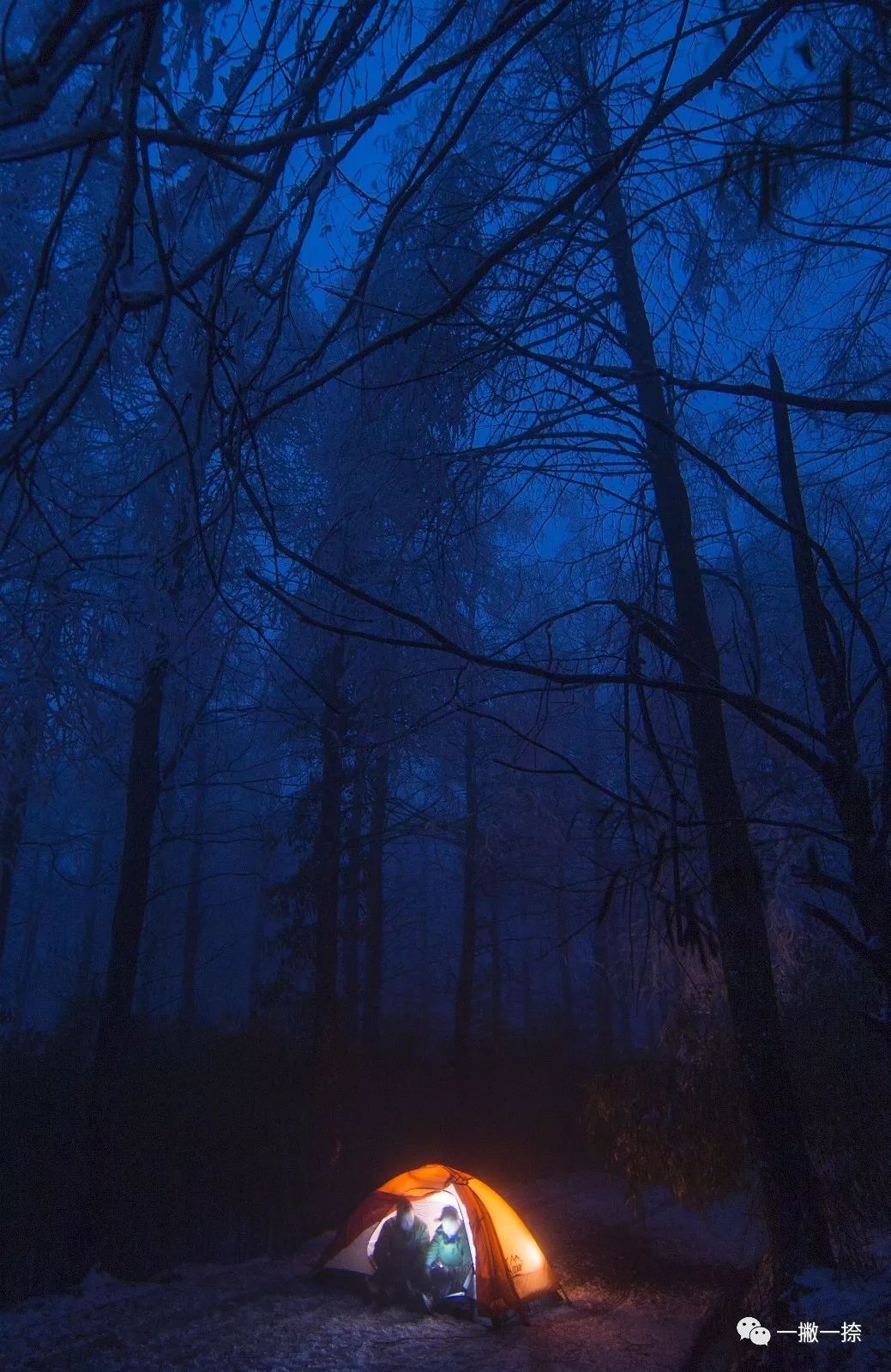 人民日报摄影照片,人民日报照片图