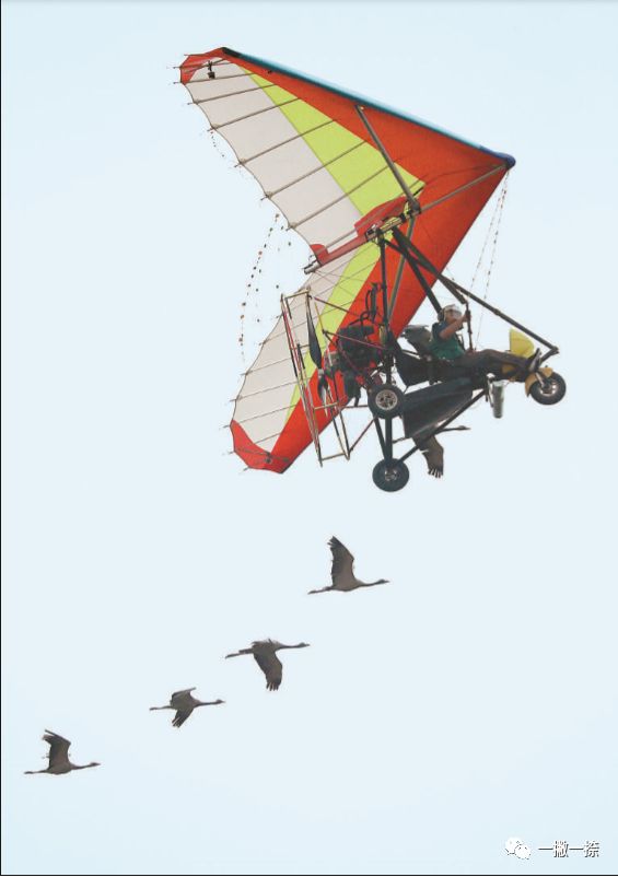 人民日报摄影照片,人民日报照片图