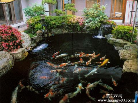 缸养锦鲤水要多深庭院鱼池要多深鱼池在我家的小庭院里占地不到2平米水最深也不超过