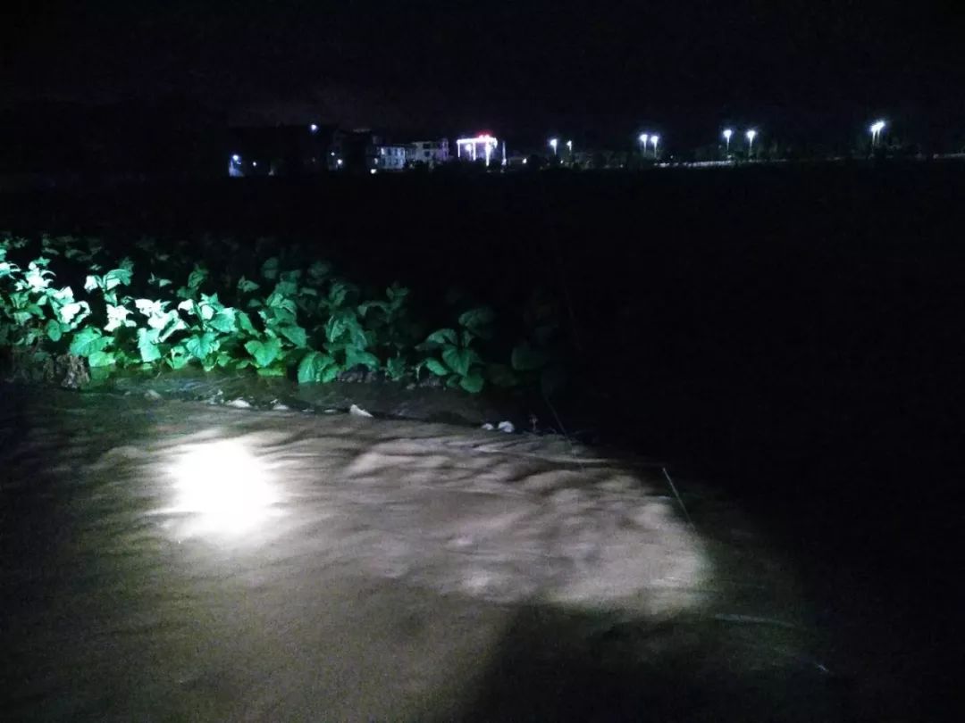 云南昆明春城暴雨,春城会不会有大暴雨