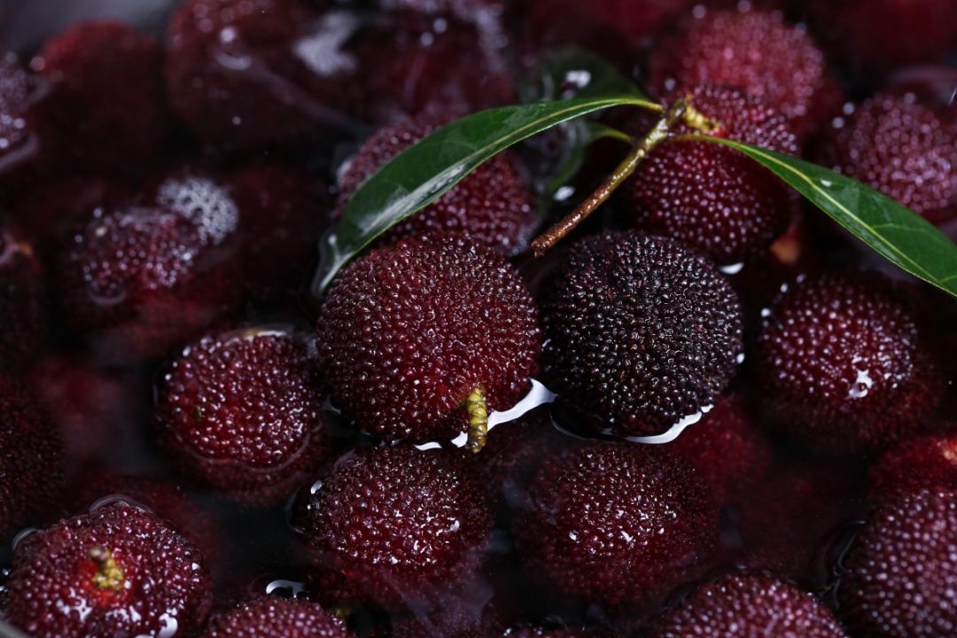 杨梅里面的虫子吃到肚子怎么办,杨梅有虫子怎么吃