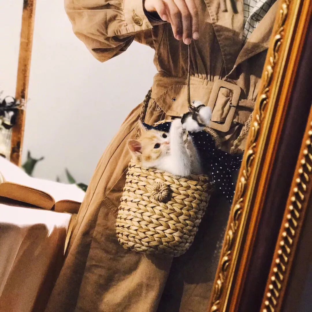 不是菜篮子不好看,这50款明星潮人都爱的草编包,才没有过时