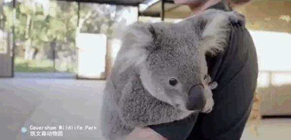 如何在旅行中省钱买到便宜的机票,旅行达人教你如何购买超低价机票