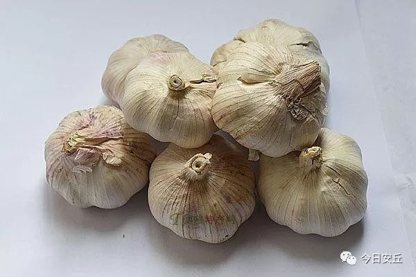 山东安丘的特产名称有哪些,山东安丘十大小吃