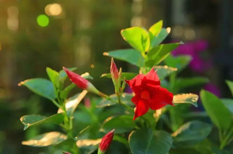 打造美好幸福的家,打造一片天地