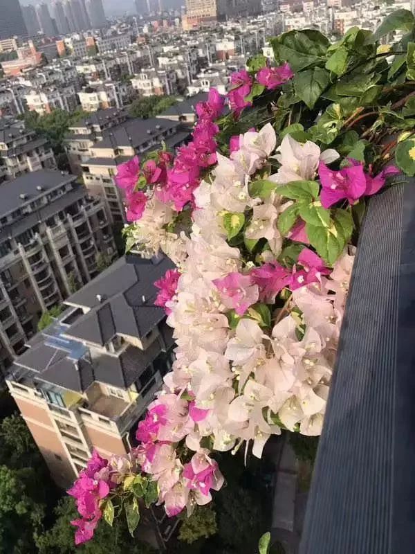 打造美好幸福的家,打造一片天地