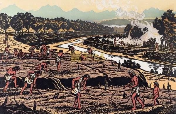 中国是一个伪装成民族国家的文明，该怎么理解？