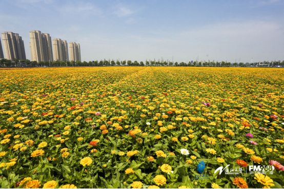 甯﹀瀛愬埌澶箹鑺辨捣缃戠孩鎵撳崱,鍋囨湡甯﹀瀛愭父婊ㄦ捣婀捐姳娴烽噷