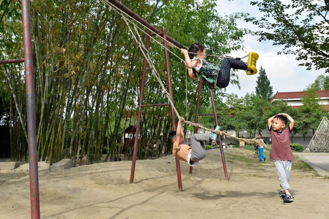 来华15年的华德福学校，质疑和探索从未间断