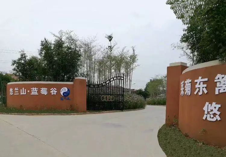 滁州大动作规划,滁州下周有什么发展