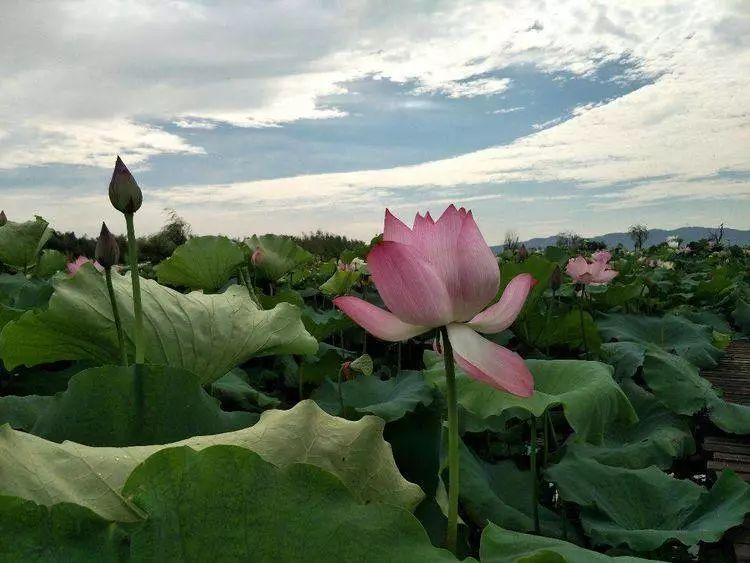 滁州大动作规划,滁州下周有什么发展