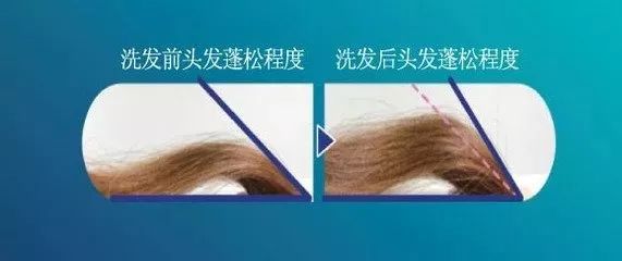 你的头发一天一次还长吗,你的头发那么长不会掉下来吗