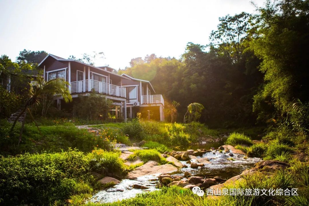 贵港周边网红打卡地一日游,贵港旅游团网红打卡景点