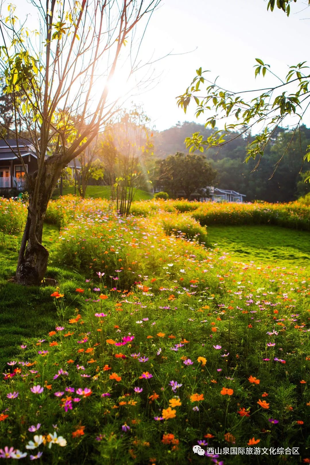 贵港周边网红打卡地一日游,贵港旅游团网红打卡景点