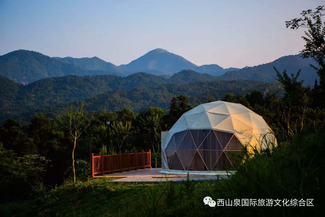 贵港周边网红打卡地一日游,贵港旅游团网红打卡景点