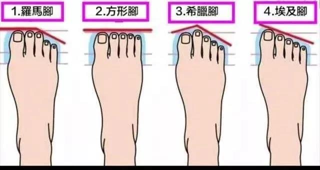 罗马脚希腊脚埃及脚各是什么特点,埃及脚罗马脚希腊脚哪种脚比较多