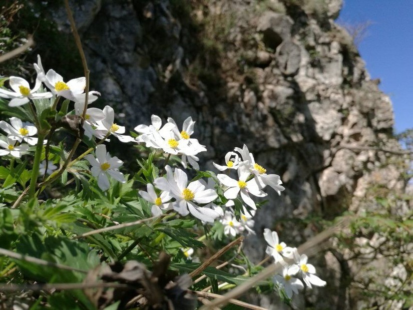 蔚县茶山风景图片大全,蔚县茶山村风景