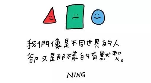 语言大多数是假的经历才是真的,语言很多时候都是假的句子