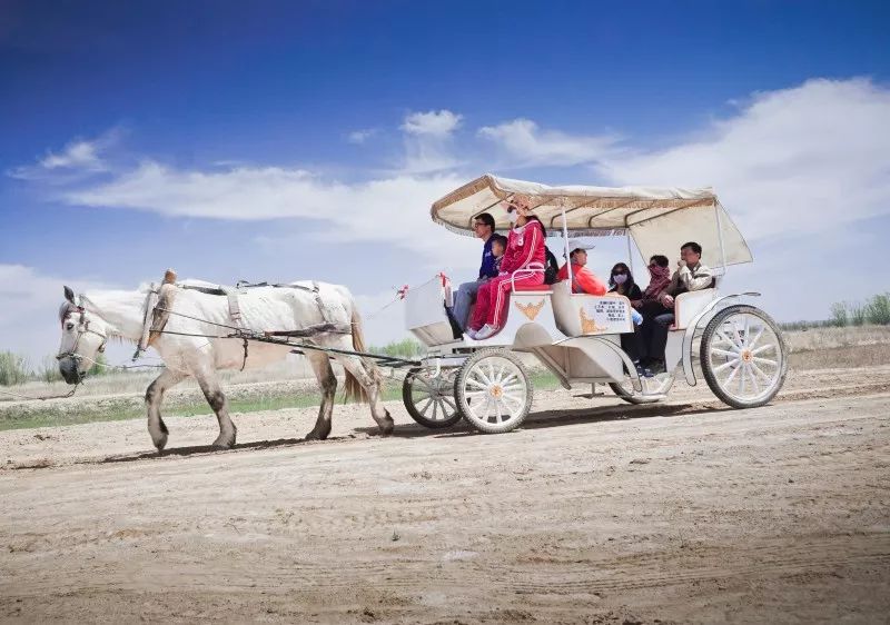 宁夏黄沙古渡景区多条旅游直通车线路让游客便捷出行！