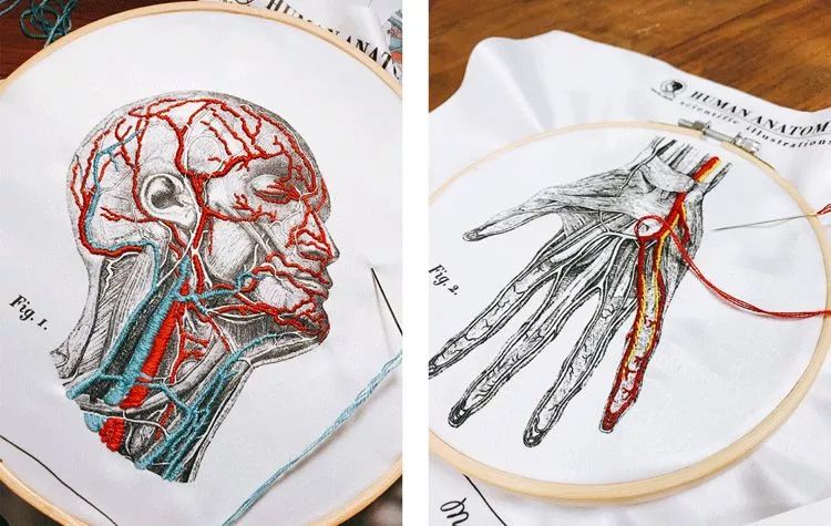 我就不信，只有我一个人想试试人体解剖丨好物推荐