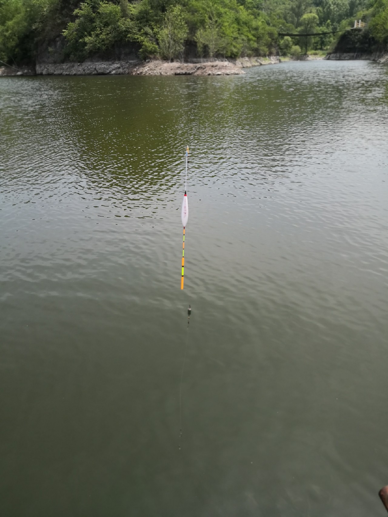 天盛湖垂钓鲢鳙,天盛垂钓园钓鱼