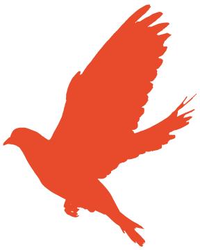 她们行在“和”之路上……