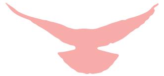 最美军训,军训让我遇见更好的自己作文