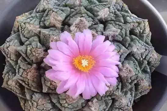 跟随杭州“自然大咖”的步伐，开启西湖秘境之旅！5天4夜，探索鲜为人知的寂静之地