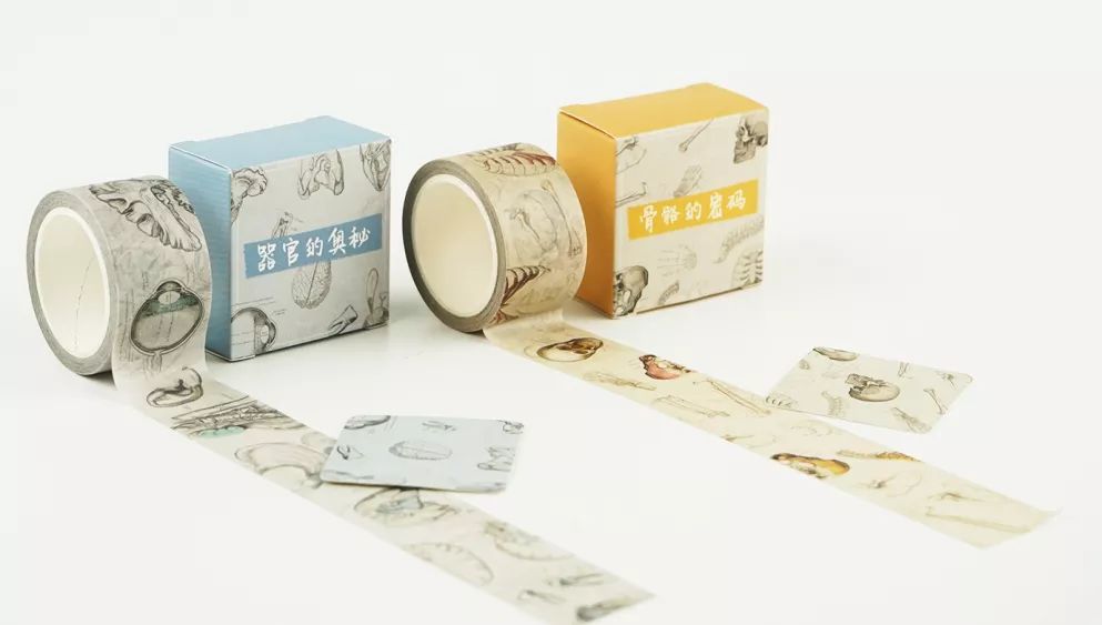 我就不信，只有我一个人想试试人体解剖丨好物推荐