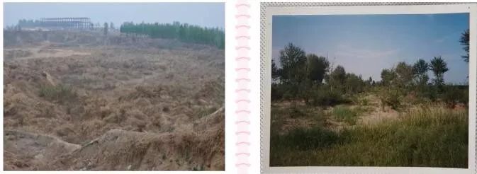 孙大午：农村土地问题与民营经济发展的几点思考