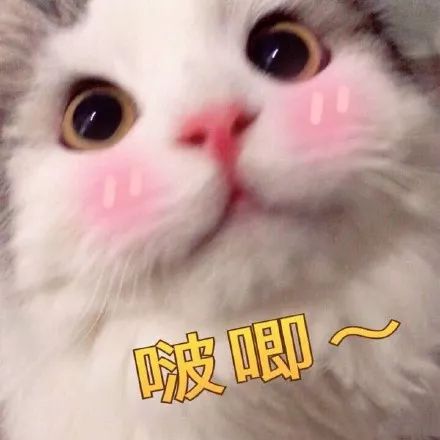 迪丽热巴杨超越猜图,杨超越瘦脸方法