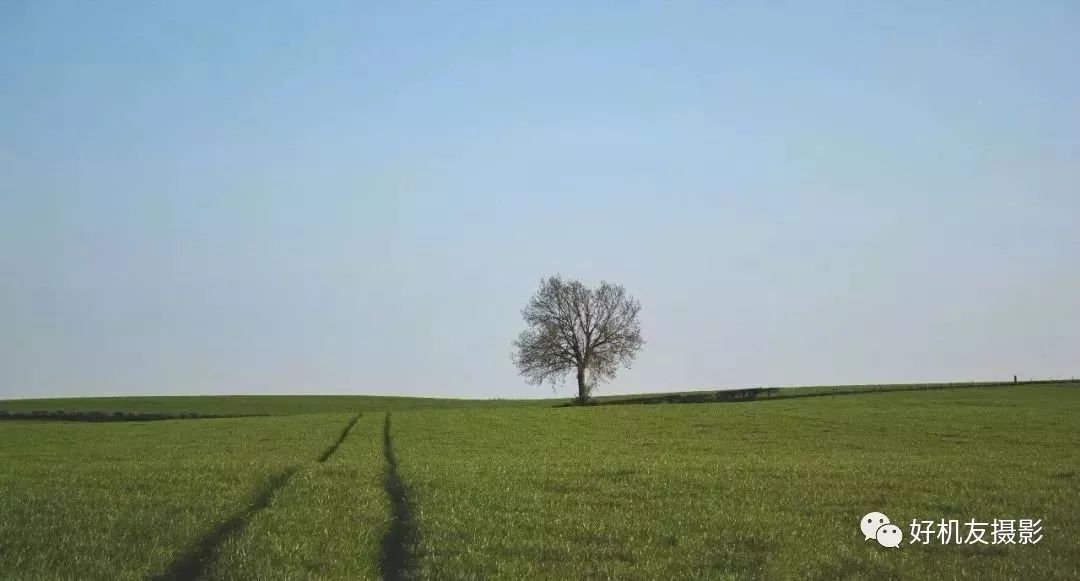 摄影中的空白与虚实,摄影中的景深三个要素