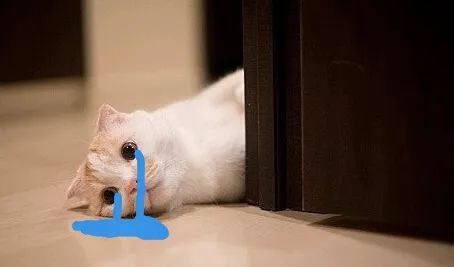 3分钟学会四种经典自制火锅,100种火锅的做法大全